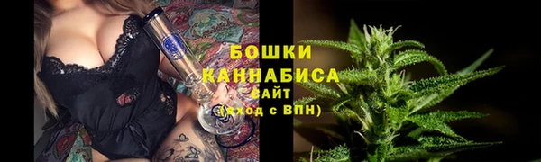 молекула духа Нея