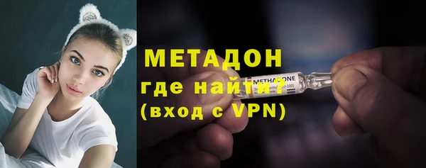 сатива Бородино