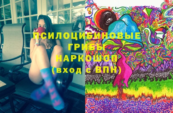 ПСИЛОЦИБИНОВЫЕ ГРИБЫ Наволоки