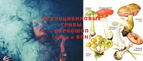 амф Нефтегорск