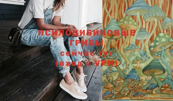 амф Нефтегорск