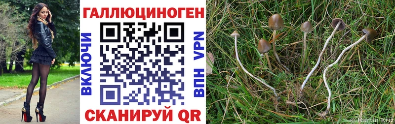 мориарти телеграм  Лебедянь  Псилоцибиновые грибы Cubensis  наркошоп 